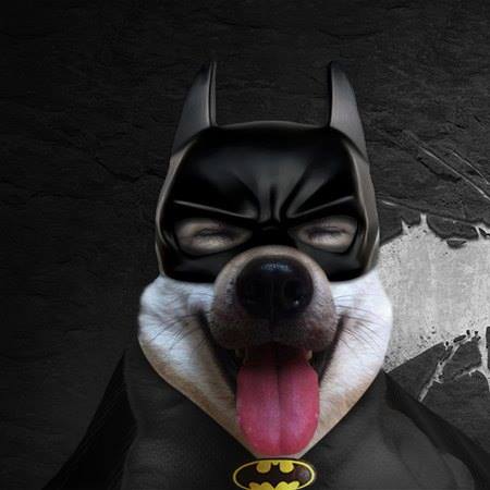 Batmic